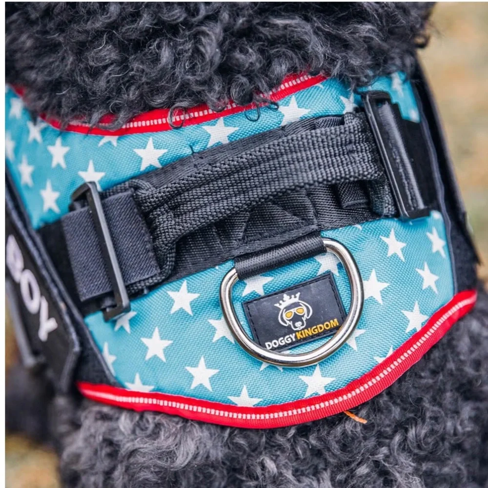 New No Pull Blue Star Dog Harness with Red Trim adjustable reflective medium - Picture 7 of 14